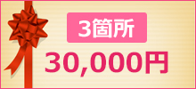 ギフトキャンペーン 3箇所30000円
